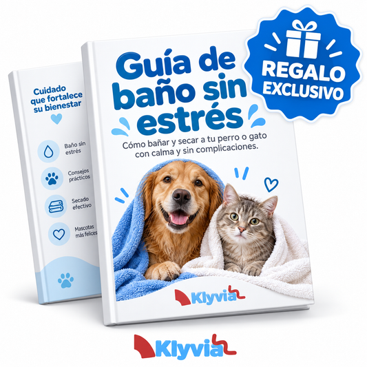 Guía de Baño Completa